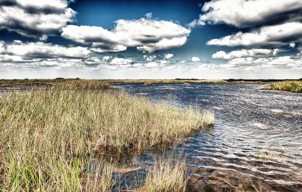 Marais Floride Everglades Par Une Belle Journée Ensoleillée — Photo