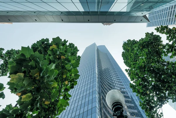 Ουρανοξύστες Περικυκλωμένοι Από Δέντρα Θέα Στον Ουρανό Επιχειρηματική Και Εταιρική — Φωτογραφία Αρχείου