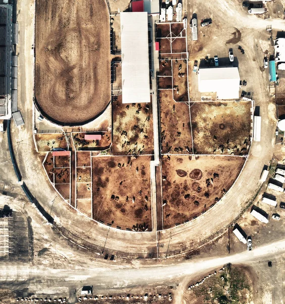 Cody Manzarası Wyoming Deki Stampede Rodeo Parkı Nın Panoramik Görüntüsü — Stok fotoğraf