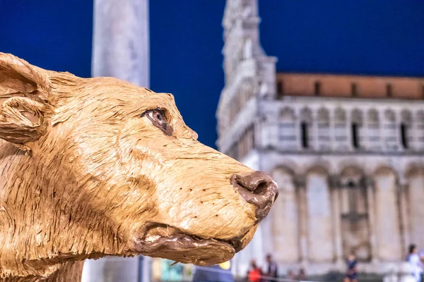 Hundhuvud Natten Lucca Michael Square Italien — Stockfoto