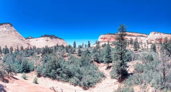 Zions Nationalpark Sommarsäsongen Panoramautsikt — Stockfoto