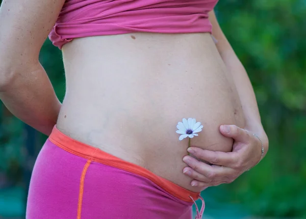 35E Week Zwangere Vrouw Buik Met Een Bloem — Stockfoto