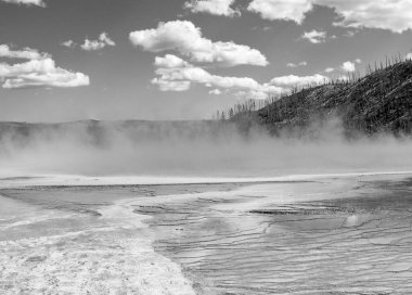 Yellowstone Ulusal Parkı 'nda Dumanlı Gayzer