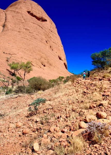 Heller Und Sonniger Tag Australischen Outback — Stockfoto