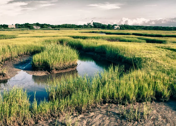 Campagne Massachusetts États Unis — Photo