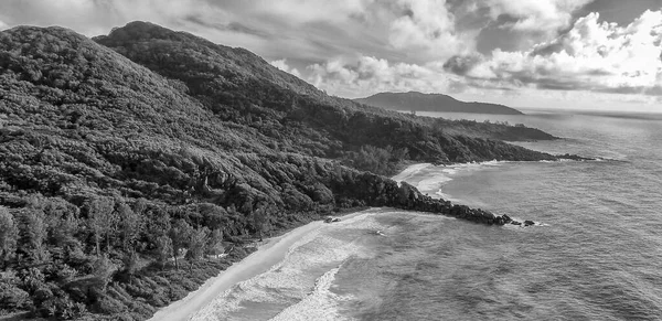 Deniz Bitki Örtüsü Kıyı Şeridi Olan Tropikal Adanın Havadan Görünüşü — Stok fotoğraf