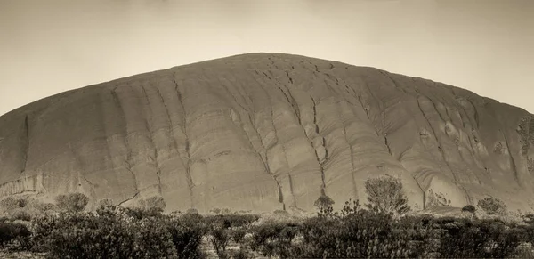 Vue Noir Blanc Parc Outback Territoire Nord Australie — Photo