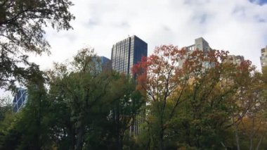 Manhattan Binaları, Central Park 'ı yeşillik mevsiminde sallıyor.