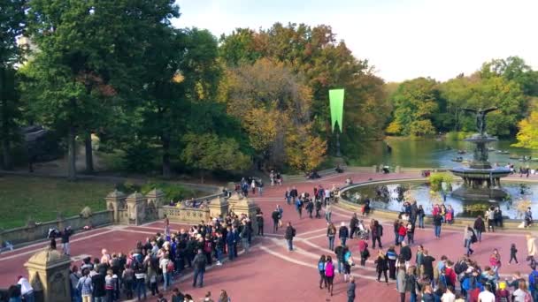 NOVA CIDADE DA IORQUE - OUTUBRO 25, 2015: Os turistas desfrutam da estação de folhagem no Central Park — Vídeo de Stock