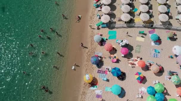 Csodálatos kilátás nyílik Cavoli Beach, Elba Island a nyári szezonban, Olaszország. Lassú mozgás. — Stock videók