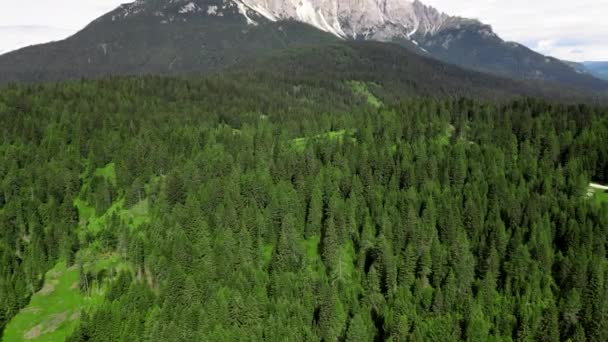 Vista aérea de belas árvores de montanha na temporada de verão — Vídeo de Stock