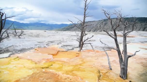 Mammutvarma källor i Yellowstone, Wyoming — Stockvideo