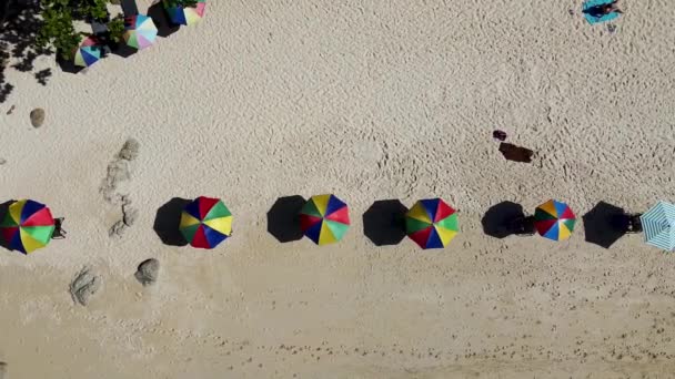 Renkli plaj şemsiyelerinin yukarıdan görünüşü — Stok video