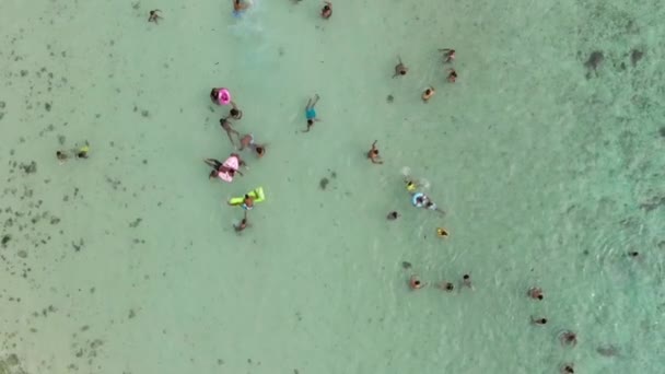 Úszók egy gyönyörű strandon, csodálatos lefelé légi kilátás — Stock videók