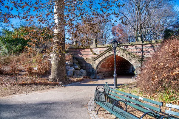 Puente Central Park Invierno Nueva York — Foto de Stock