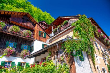 Güzel bir yaz gününde, Hallstatt kasabasının güzel klasik manzara manzarası, Avusturya.