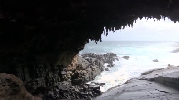 Klokaní ostrov, Voda v jeskyni - Flinders Chase National Park — Stock video