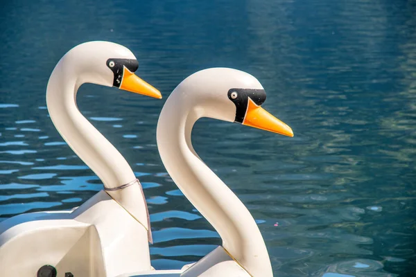 Cisnes Plástico Lago Naturaleza Concepto Relax — Foto de Stock