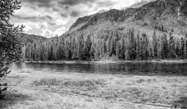Güzel ağaçları ve dağları olan Yellowstone nehri
