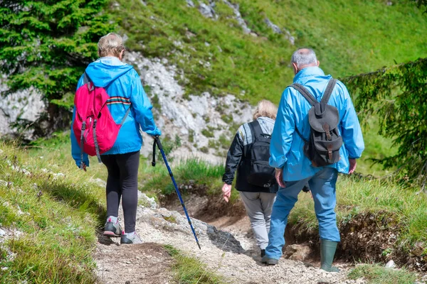 Ouderen Langs Een Bergpad Het Zomerseizoen Achteraanzicht — Stockfoto