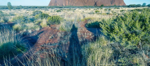 Increíble Paisaje Australian Outback Día Soleado —  Fotos de Stock