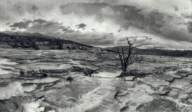 Mammoth Hot Springs panoramik görünümü, Yellowstone Ulusal Parkı.