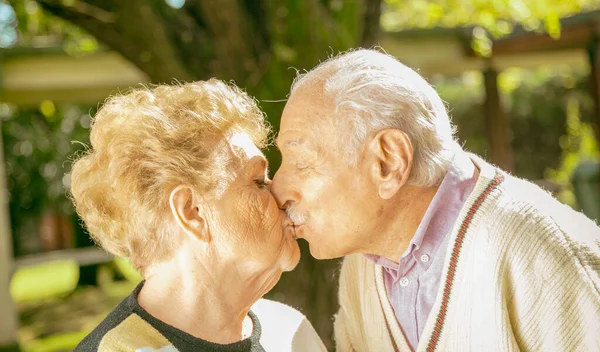 Ένα Γλυκό Φιλί Μεταξύ Ένα Ηλικιωμένο Ζευγάρι — Φωτογραφία Αρχείου