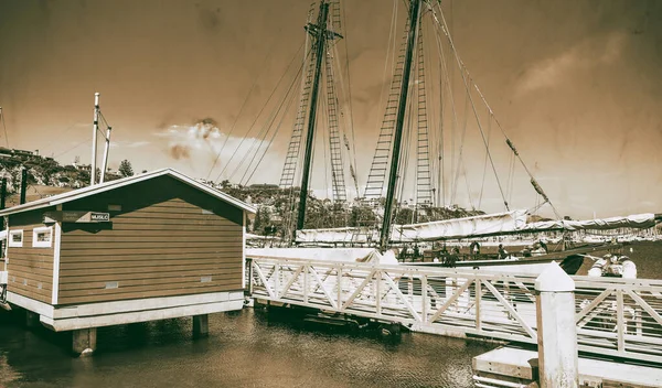 DANA Noktası, CA - 31 Temmuz 2017: Dana Point Limanı, Kaliforniya