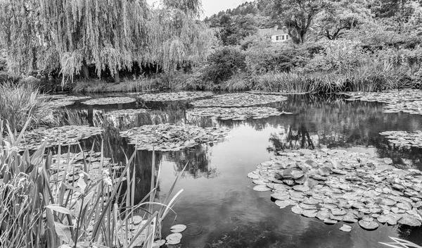 Jardin France Giverny Monet Jour Printemps — Photo