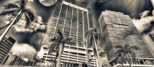 Byggnader Och Monorail Downtown Miami Med Palmer Solig Dag Himmel — Stockfoto