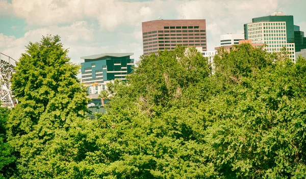 Skyline Von Denver Umgeben Von Bäumen Einem Schönen Sommertag Colorado — Stockfoto