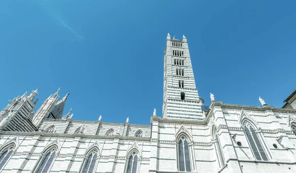 Siena Italia Piazza Del Duomo Cupola Della Città — Foto Stock