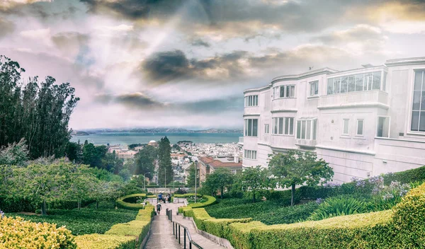 Panoramablick Auf Die Skyline Von San Francisco Vom Aussichtspunkt Lyon — Stockfoto