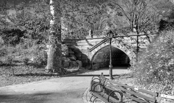 Brug Van Central Park Winter New York City — Stockfoto