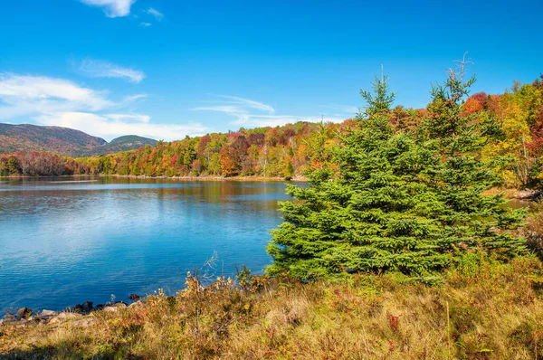 Cores Folhagem Outono Parque Nacional Acadia Árvores Lago Maine — Fotografia de Stock