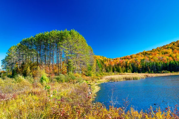 Riddel Pond Gebladerte Seizoen New Hampshire Verenigde Staten — Stockfoto