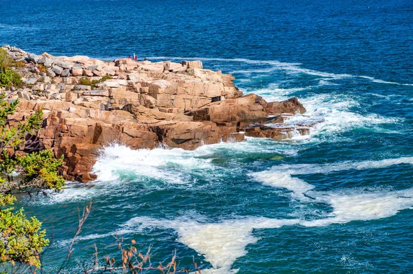 Acadia Ulusal Parkı Nın Sonbahar Yeşillik Renkleri Ağaçlar Okyanus Maine — Stok fotoğraf