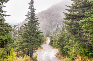 Kaçakçılar Notch State Park Sonbaharda, New England