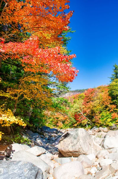 Felsen Swift River Während Der Laubzeit New Hampshire — Stockfoto