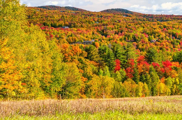 Контрабандисты Notch State Park Осенью Новая Англия — стоковое фото