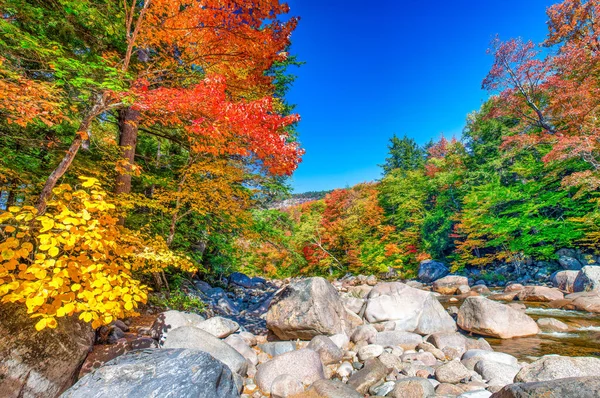 Laubbaumfarben Conway New Hampshire Usa — Stockfoto