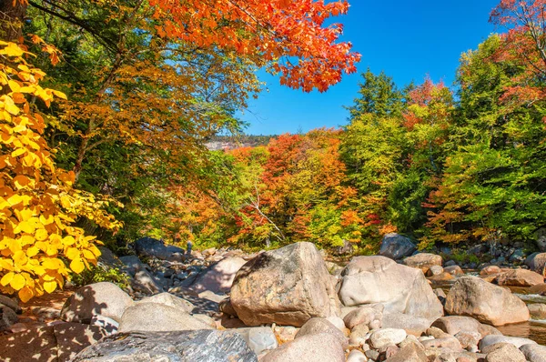 Felsen Swift River Während Der Laubzeit New Hampshire — Stockfoto