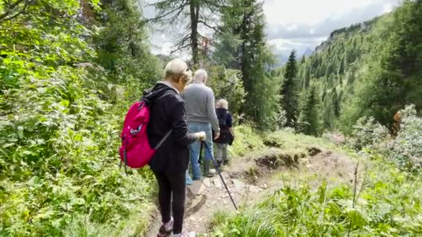 Pohled na rodinu během horského výletu po italských Alpách, letní sezóna — Stock video