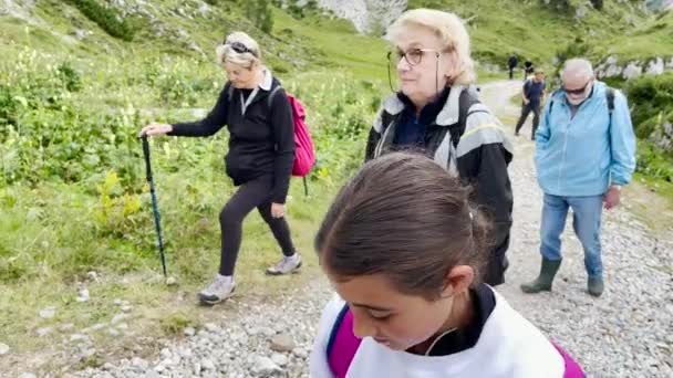 Famiglia durante una gita in montagna lungo le Alpi italiane, stagione estiva — Video Stock