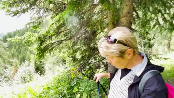 Famiglia durante una gita in montagna lungo le Alpi italiane, stagione estiva — Video Stock