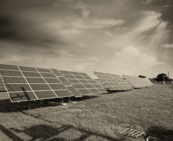 Paneles solares en un campo —  Fotos de Stock