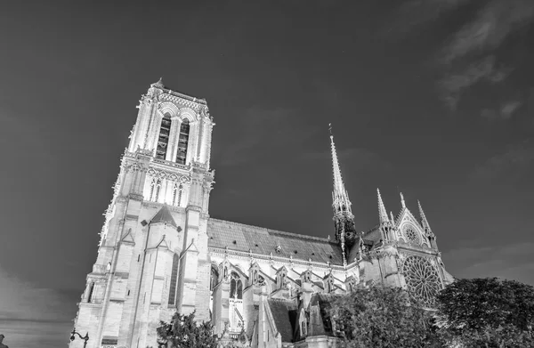 Notre Dame v noci, Paříž. — Stock fotografie