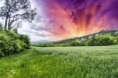 Bahar renkleri Toskana