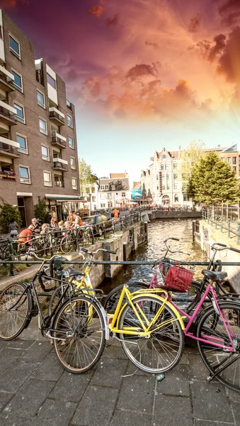 Amsterdam. Colorful yellow and pink Bicycles — Stock Photo, Image