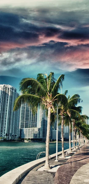 Miami, Florida. — Foto Stock